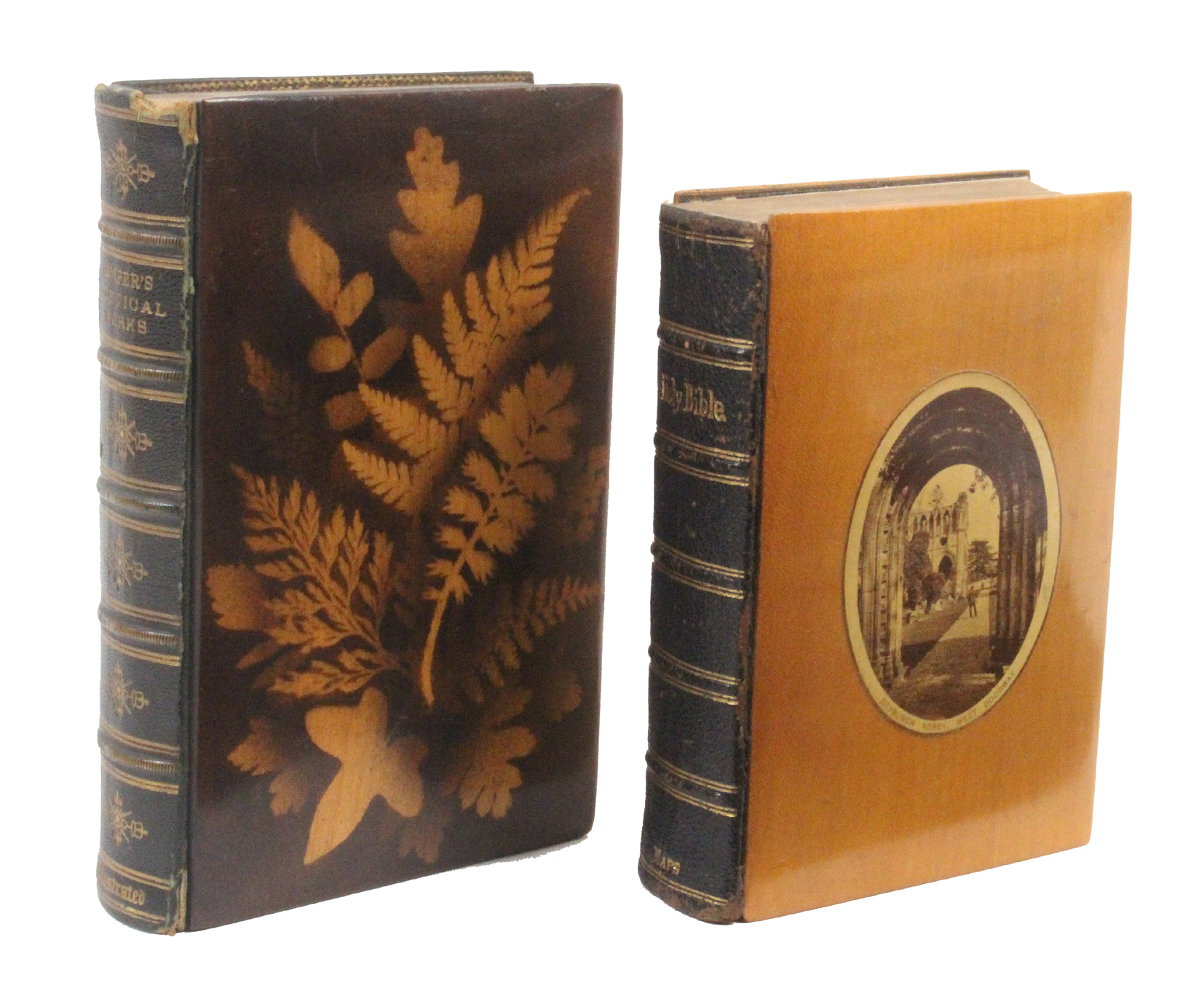 Mauchline ware – two books – comprising a fern ware example, dark ground – Poetical Works of William