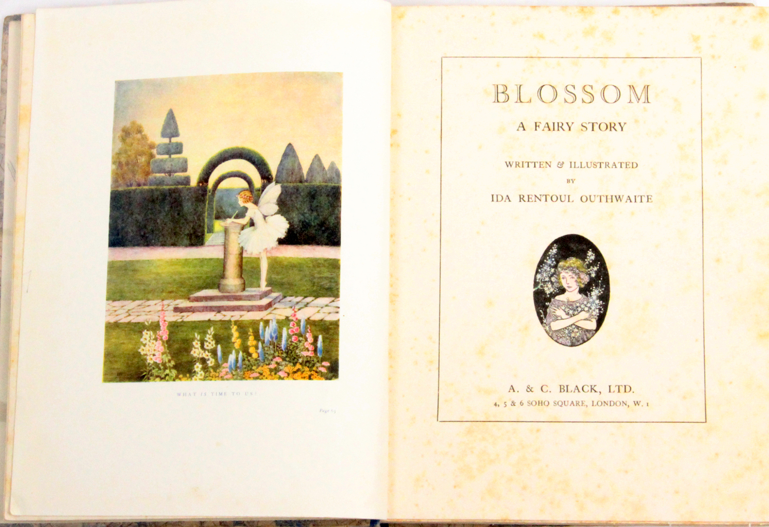 Outhwaite (I.R.): Blossom, A Fairy Story. Colour plates by Ida Rentool Outhwaite, some black and - Image 2 of 2