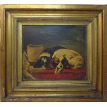 A pair of 19th Century unsigned Oil Paintings on canvas of spaniels, inscribed on the reverse "