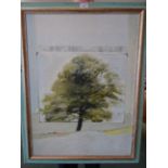 FRANK GORDON; "Anatomy of a Tree" oil on canvas, signed. 29 1/2" (75cms) x 21 1/2" (55cms).