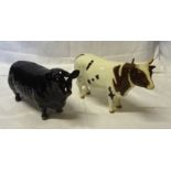 A Beswick Model of an Aberdeen Angus bull, No. 1562 and a Beswick Ayrshire bull No. 1454B in gloss