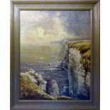 STEWART SKELTON; Bempton Cliffs, oil on canvas, signed, inscribed on the reverse. 20" (51cms) x