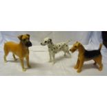 A Beswick model of an Airedale, No. 962 in gloss finish, a Beswick Great Dane No. 968 in gloss