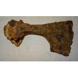 An ancient Axe Head. 7" (17cms) long.