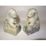 A pair of 20th Century Chinese soapstone Dogs of Fo. Each 5" (13cms) high.