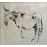 ANGELA DOUGLAS CONNER; 'Donkey' a Pen & Ink Study. 14" (36cms) x 18 1/2" (47cms) with Tryon