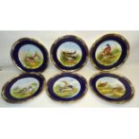 A set of six Spode Plates painted with game birds by various artists including Burndred Ellis etc.