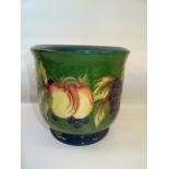 A Moorcroft Limited Edition Jardiniere decorated in the fruit and vine pattern, designed by Marjorie