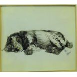 CECIL ALDIN (1870-1935), Study of a Sleeping Dog, Watercolour on ivorine, signed, 4" (10cms) x 5" (