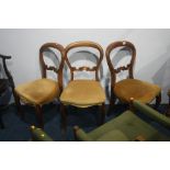 A set of three Victorian mahogany balloon back dining chairs.