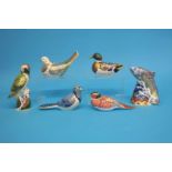 Six Royal Crown Derby paperweights, a 'Mallard', 'Pheasant', 'Blue Jag', 'Leaping Salmon', 'Dove',
