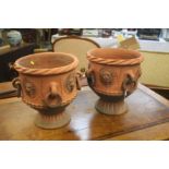 A pair of terracotta planters