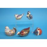 Five Royal Crown Derby paperweights, a 'Hen', 'Robin', 'Coot', 'Sitting Duckling', and a 'Swimming