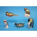 Five Royal Crown Derby paperweights, a 'Penguin and Chick', 'Hummingbird', 'Chatsworth Coot', '