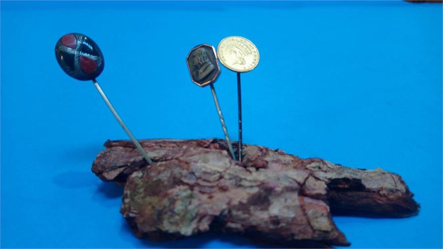A selection of stick pins, including a 22ct coin etc.