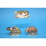 Royal Crown Derby paperweight, Chameleon, 2003, gold stopper, with box, 9cm, a Royal Crown Derby