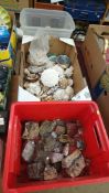 Assorted shells etc. in three boxes
