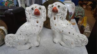 A pair of pot dogs