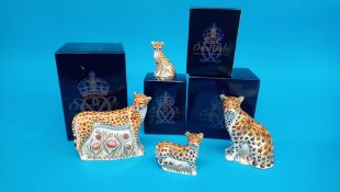 Five Royal Crown Derby paperweights; Cheetah cub, 207/950, Cheetah, 207/950, Leopard cub, 217/950,