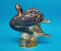 A Royal Crown Derby black swan paperweight, 146/300, boxed with certificate. 24cm