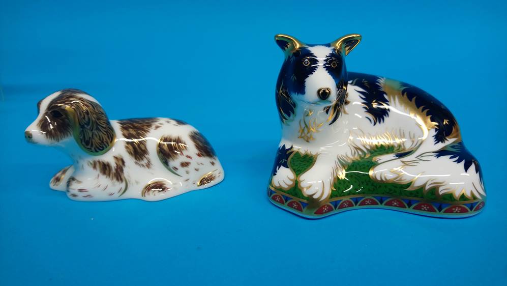 Six Royal Crown Derby paperweights; Seahorse, Scruff (dog), Border Collie 749/2500, Snake, Ram and F - Image 8 of 8