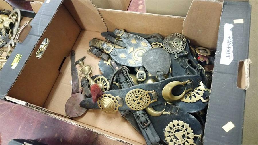 Two trays of horse brasses and saddlery brasses. - Image 3 of 4