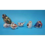 Five Royal Crown Derby paperweight of birds (no boxes or certificates).