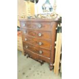 A mahogany bow front chest of drawers.