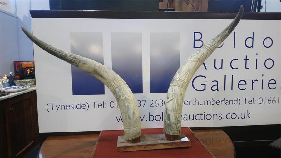 Pair carved mounted buffalo horns - Bild 2 aus 6