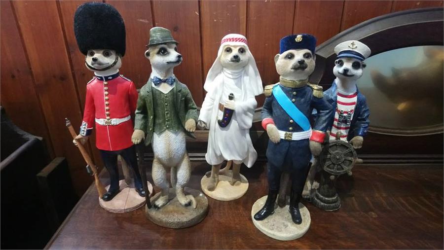 Five 'Magnificent Meerkats'