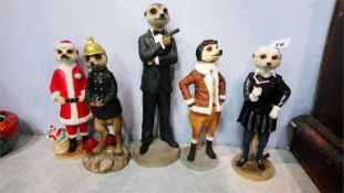 Five 'Magnificent Meerkats'