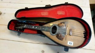 A lute with case