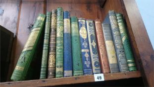 13 various books, with decorative spines