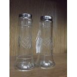 Pair of vases with silver rim