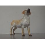 Coalport retriever