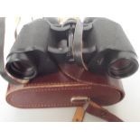 Cased field binoculars