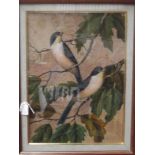 Framed birds made up by Tobacco or Vine leaves, si