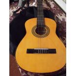 Acoustic guitar and case