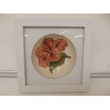 Framed Moorcroft dish, hibiskus