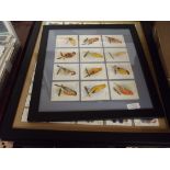 5 framed set of cigarette cards