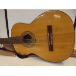 Acoustic guitar with soft case