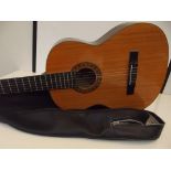 Acoustic guitar with soft case