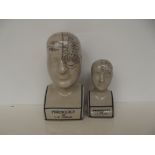 Two Phrenology busts, largest 24cm in height