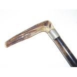 Antler handled walking cane