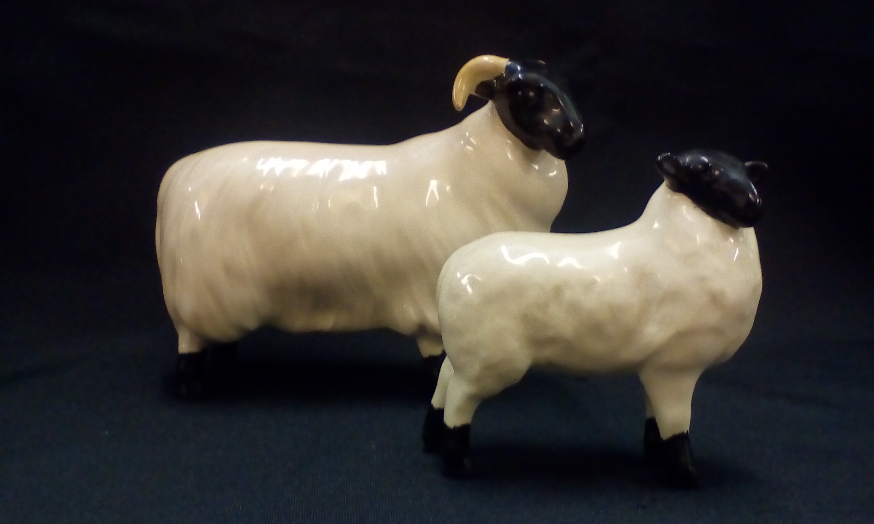 Beswick sheep together with a Beswick lamb, height