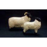 Beswick sheep together with a Beswick lamb, height