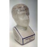 Phrenology bust with induced crazing, height 30cm