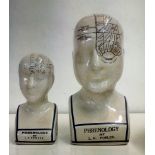 Two graduating phrenology busts with induced crazi