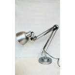 Anglepoise lamp