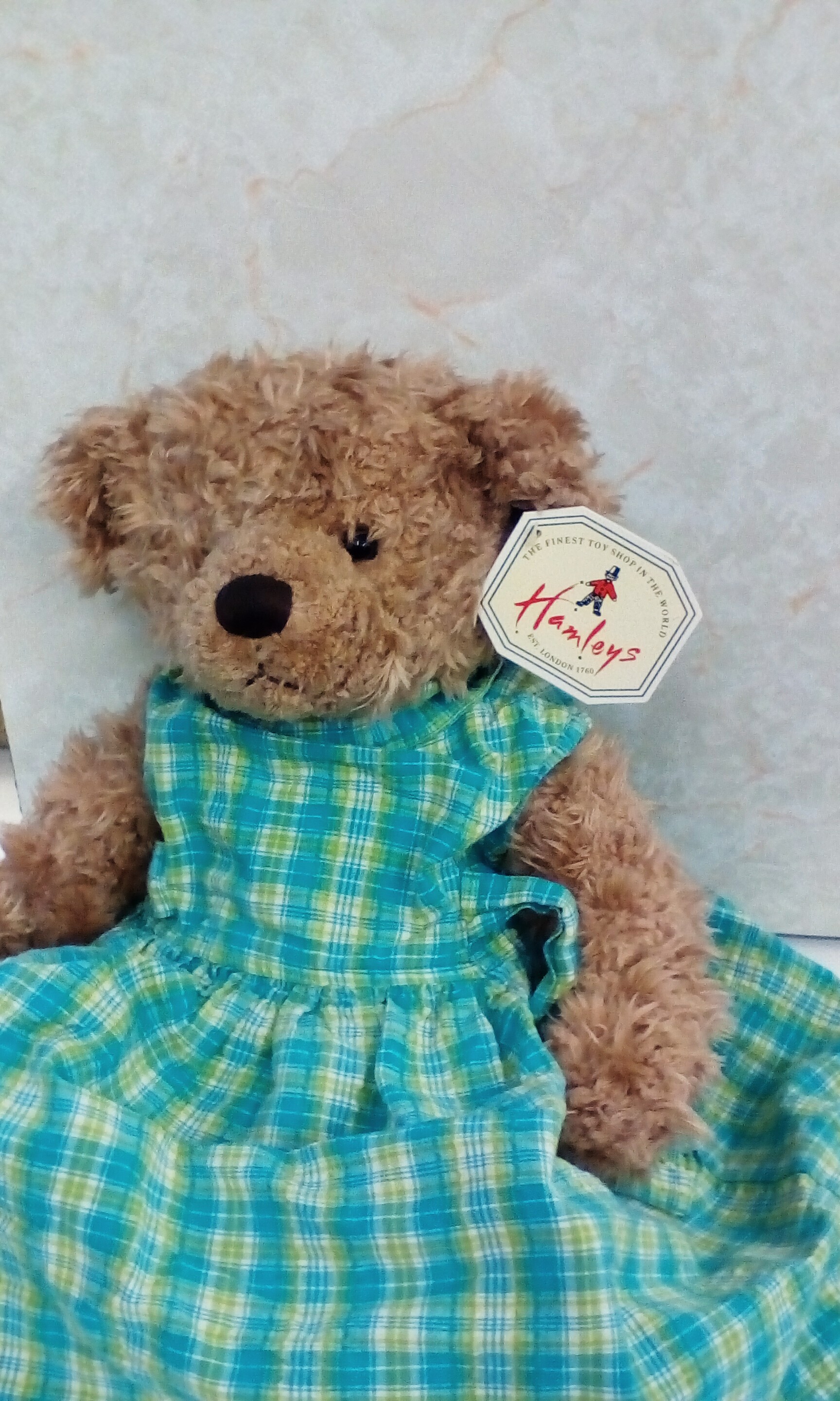 Hanley's teddy bear